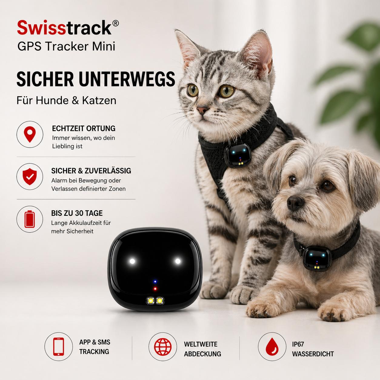 Swisstrack GPS Tracker Mini für Hunde und Katzen