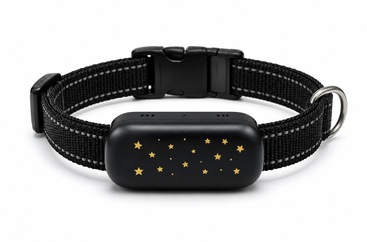 GPS Katzen Tracker 4G Premium am Halsband mit Live Ortung ohne Abo
